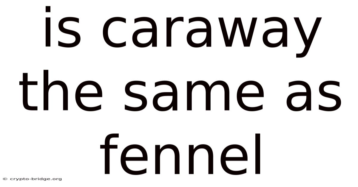 Is Caraway The Same As Fennel