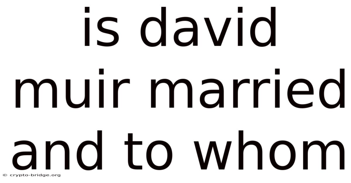 Is David Muir Married And To Whom