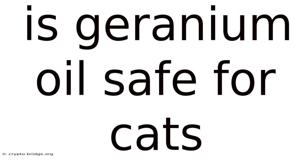 Is Geranium Oil Safe For Cats