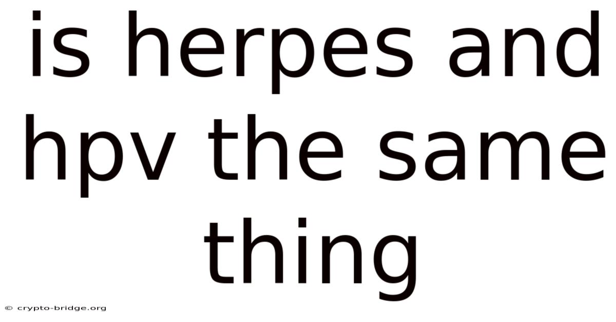 Is Herpes And Hpv The Same Thing