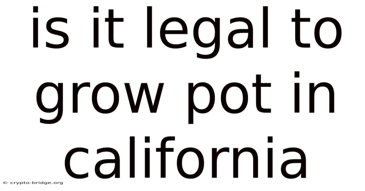Is It Legal To Grow Pot In California