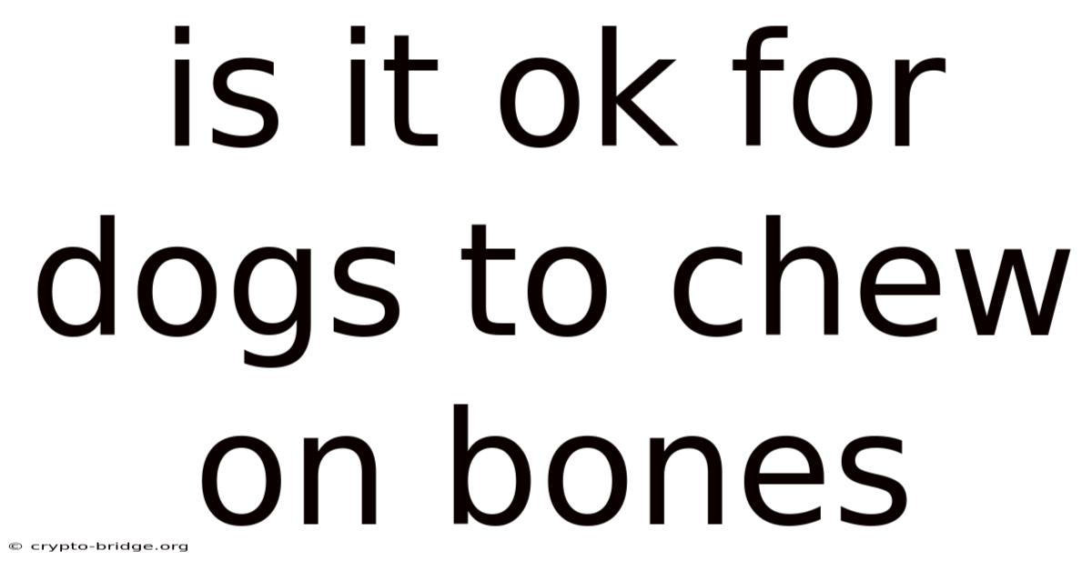 Is It Ok For Dogs To Chew On Bones