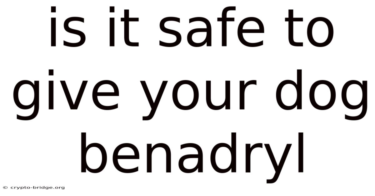 Is It Safe To Give Your Dog Benadryl