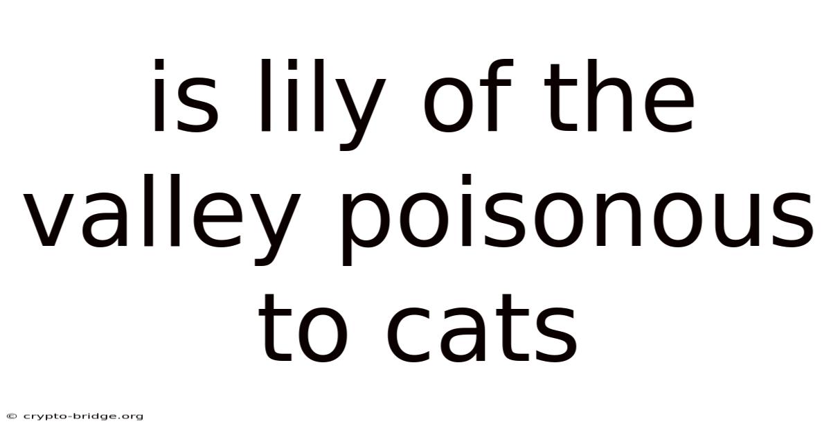 Is Lily Of The Valley Poisonous To Cats