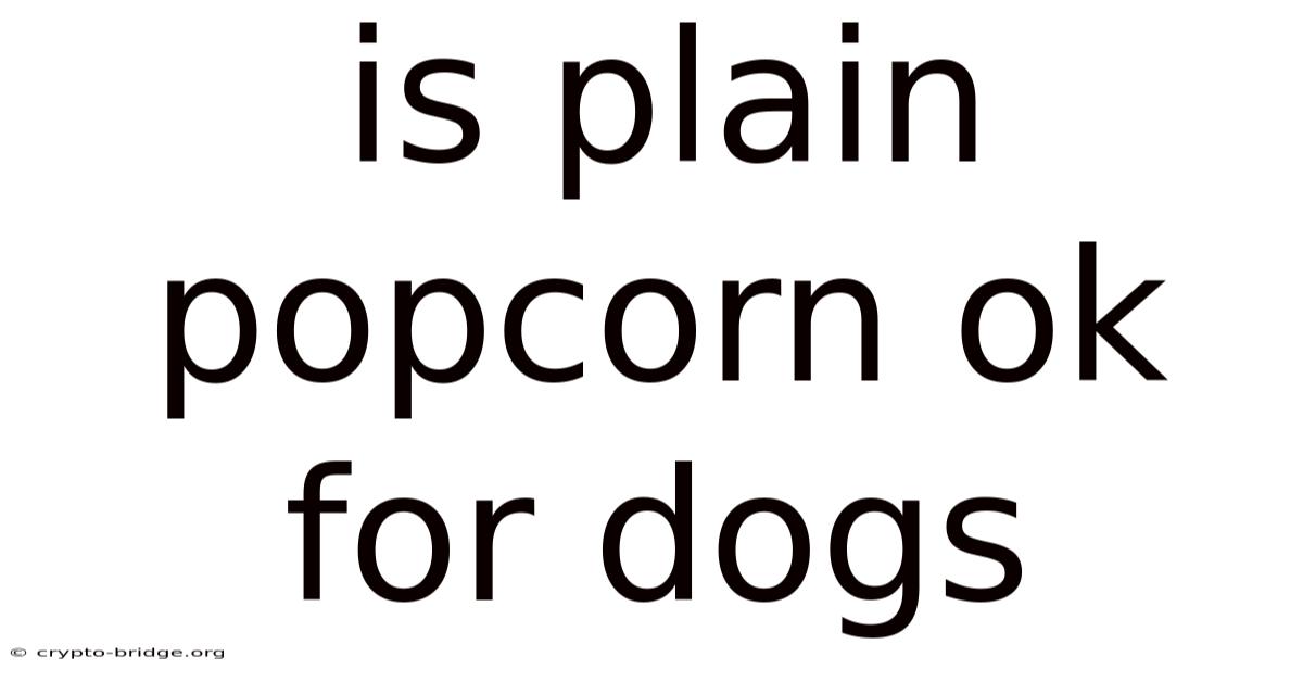Is Plain Popcorn Ok For Dogs