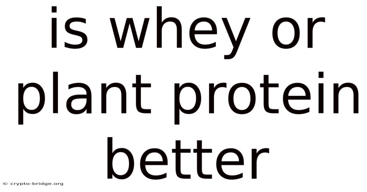 Is Whey Or Plant Protein Better