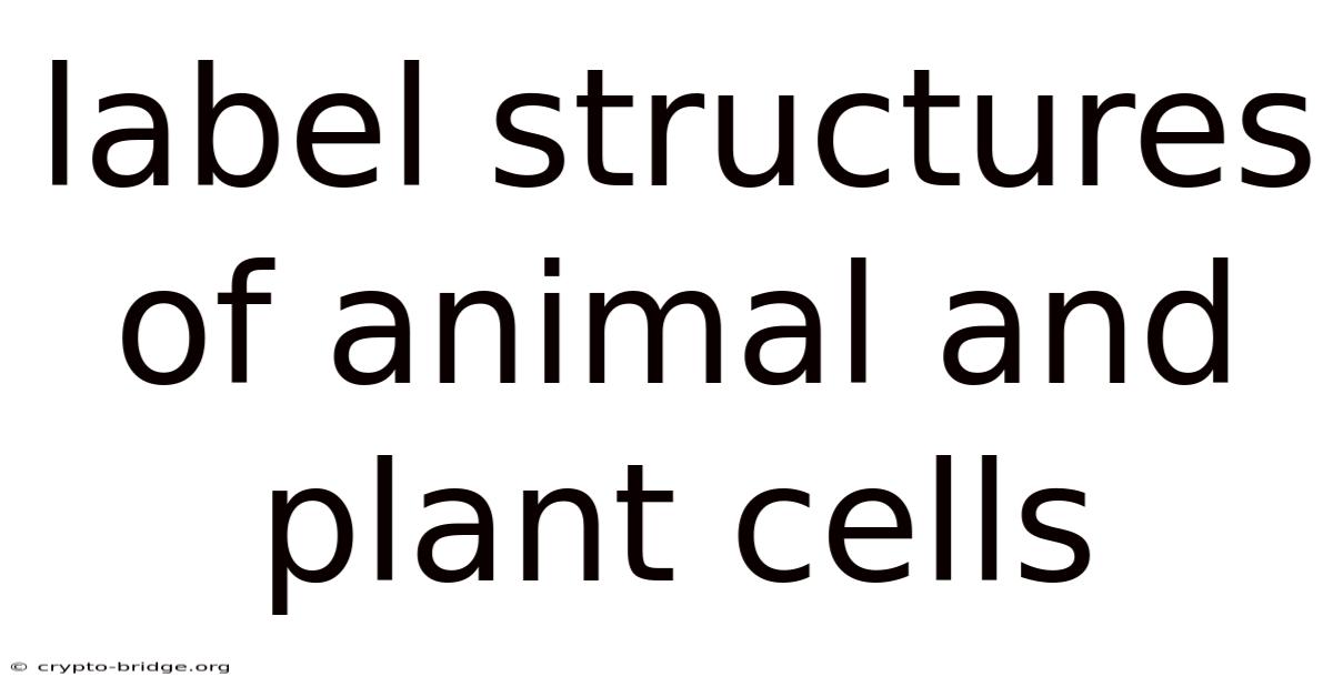 Label Structures Of Animal And Plant Cells