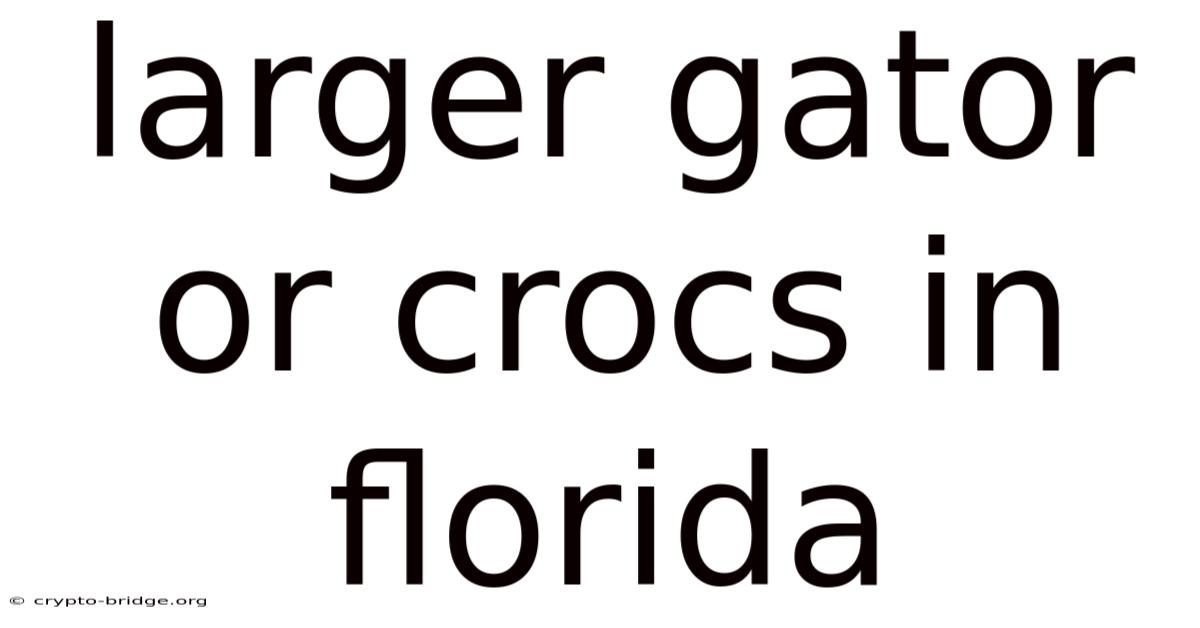 Larger Gator Or Crocs In Florida
