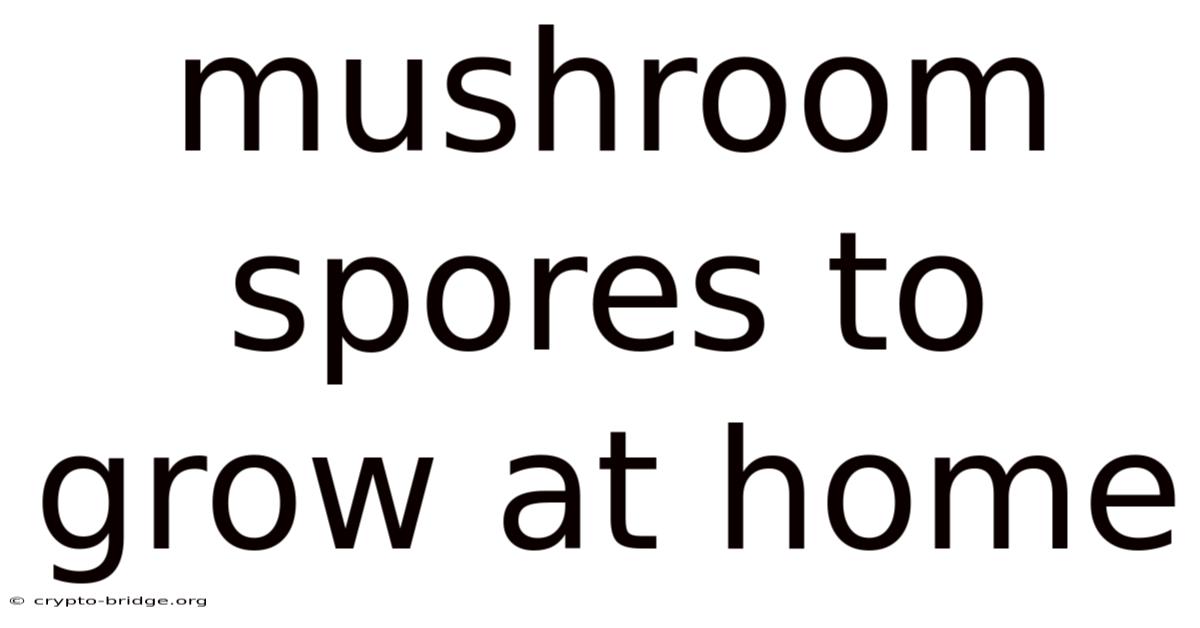 Mushroom Spores To Grow At Home