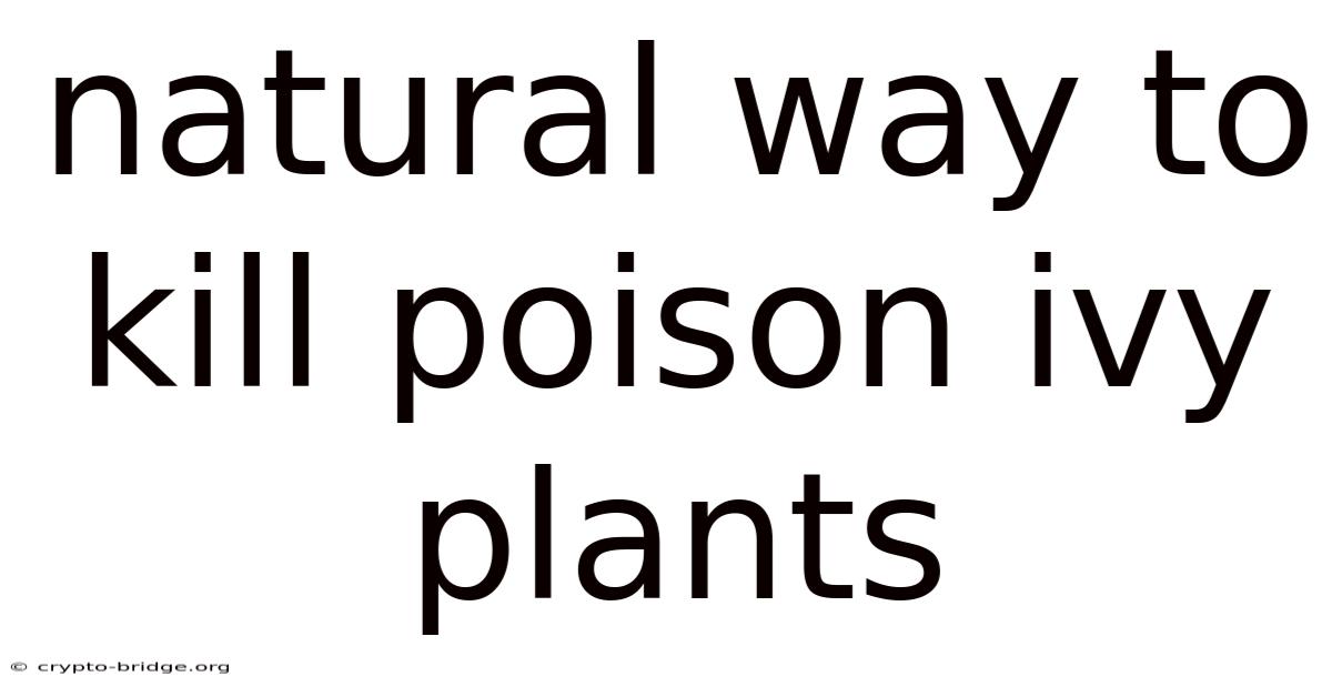 Natural Way To Kill Poison Ivy Plants