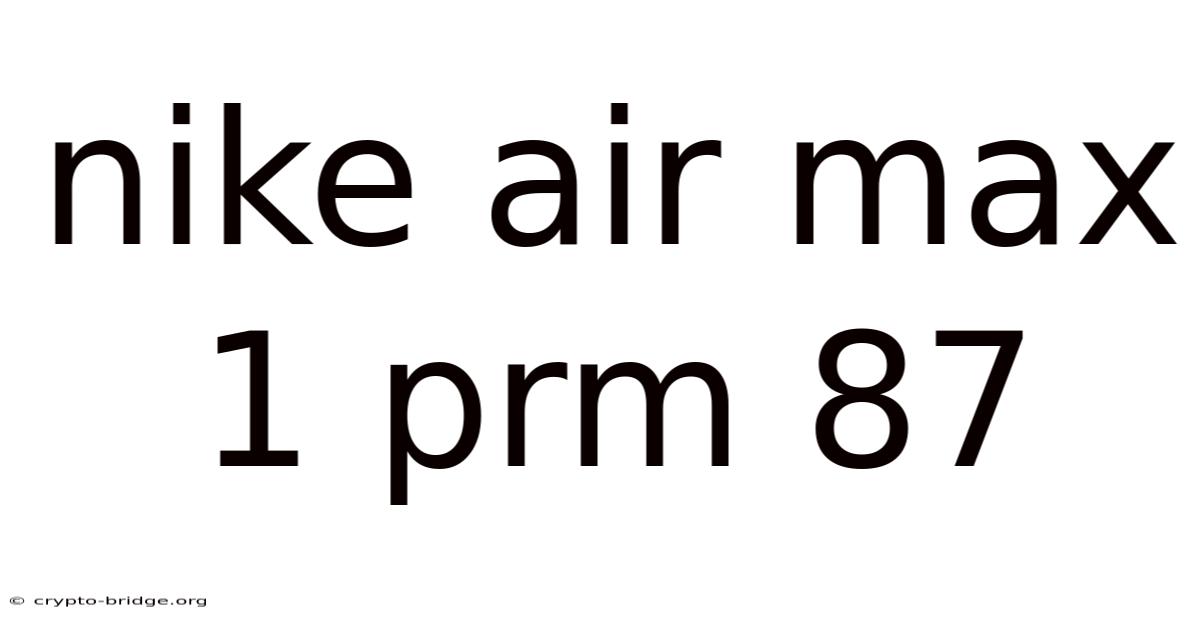 Nike Air Max 1 Prm 87