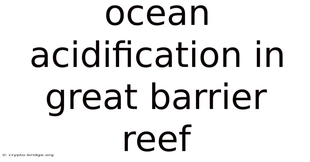 Ocean Acidification In Great Barrier Reef