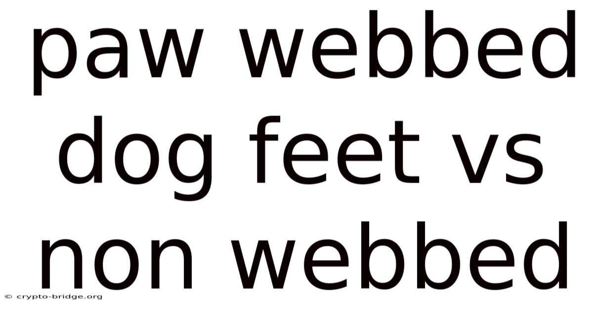 Paw Webbed Dog Feet Vs Non Webbed