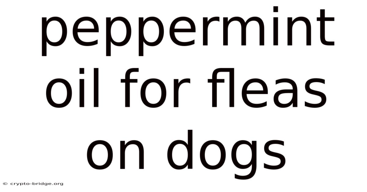 Peppermint Oil For Fleas On Dogs