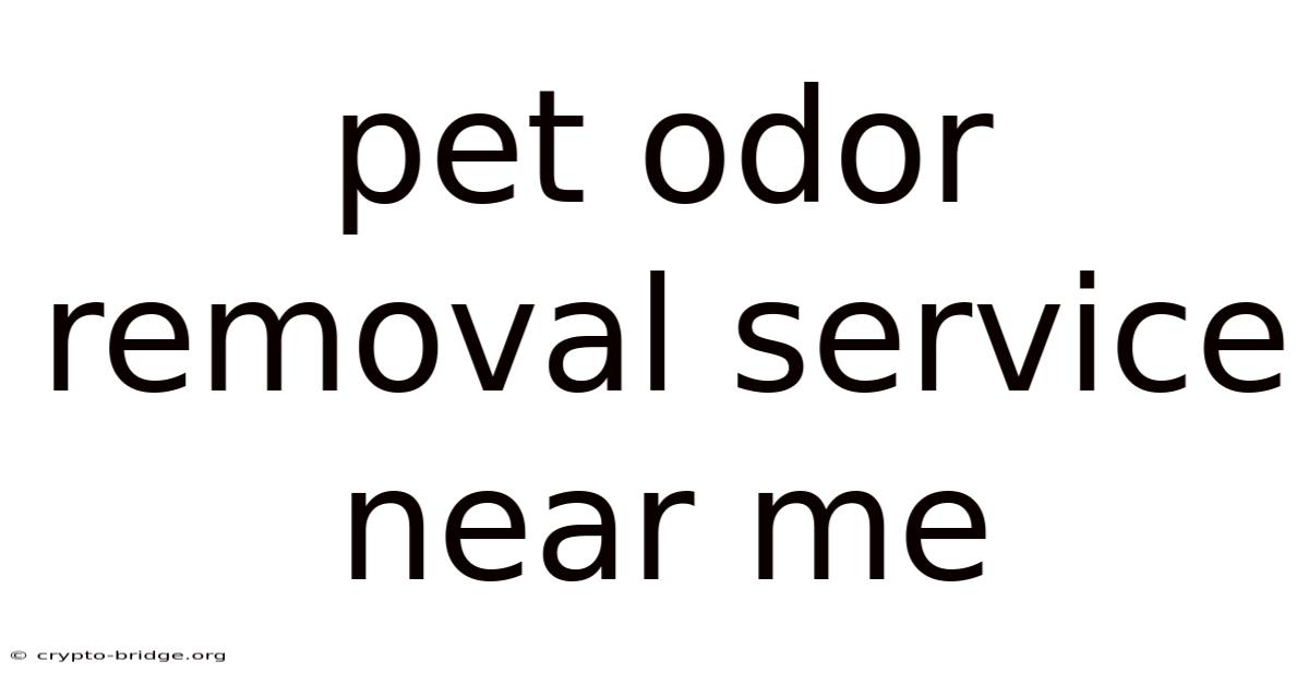Pet Odor Removal Service Near Me