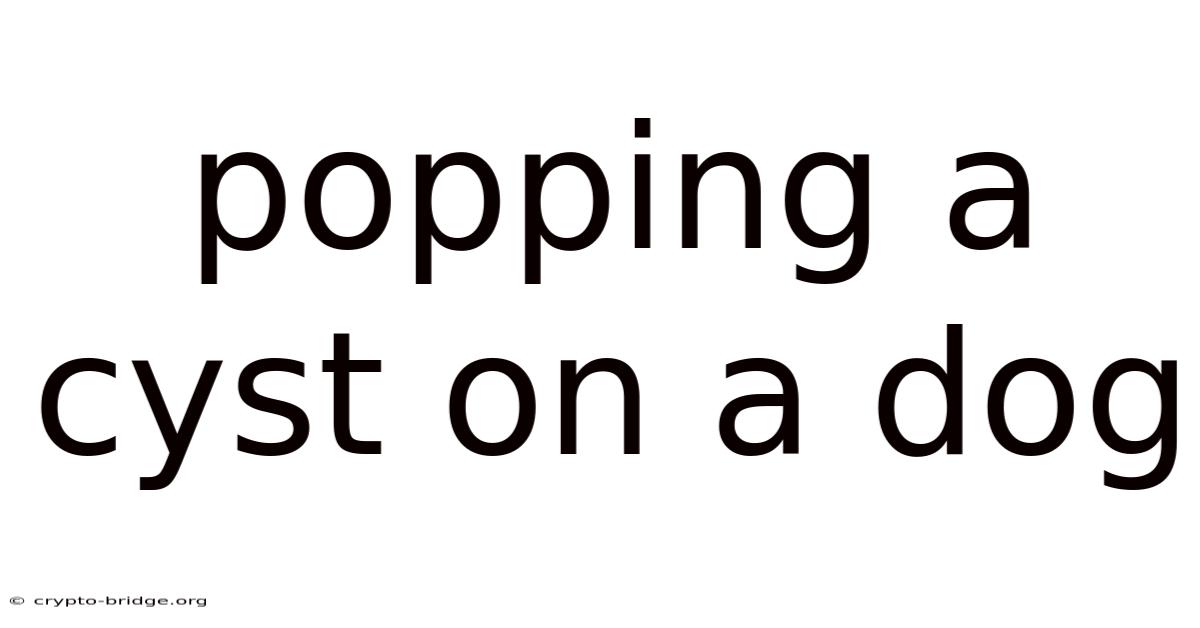 Popping A Cyst On A Dog