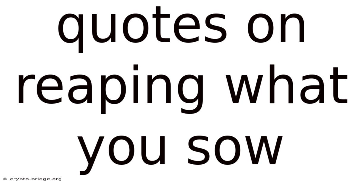 Quotes On Reaping What You Sow