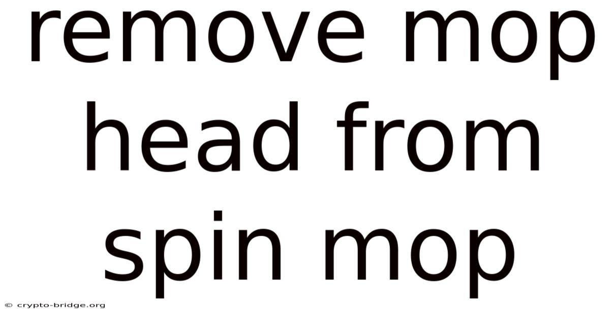 Remove Mop Head From Spin Mop