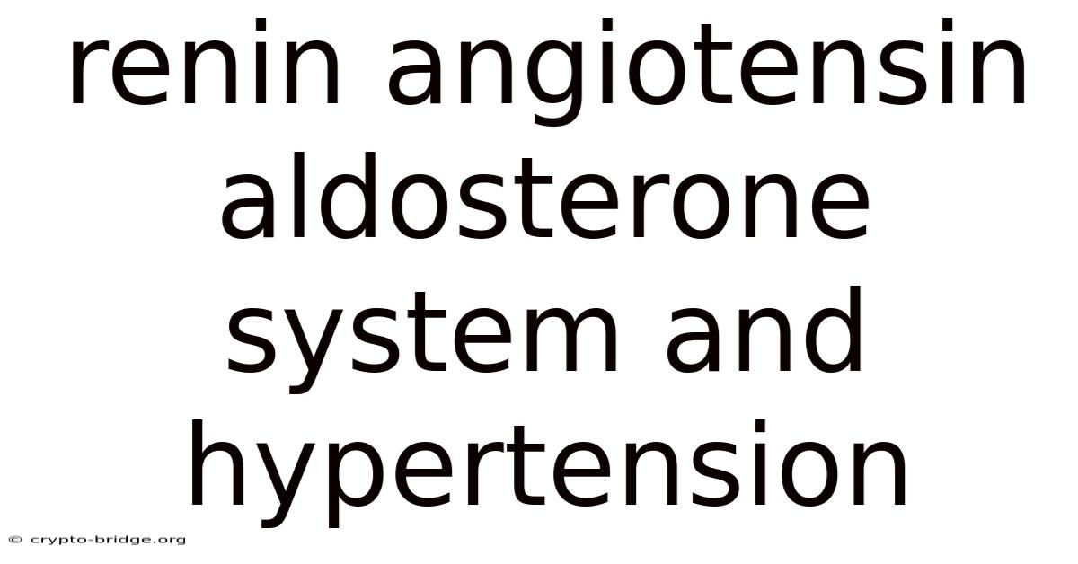 Renin Angiotensin Aldosterone System And Hypertension