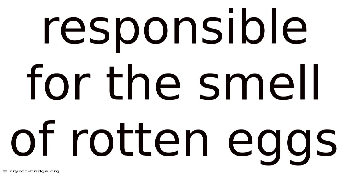 Responsible For The Smell Of Rotten Eggs