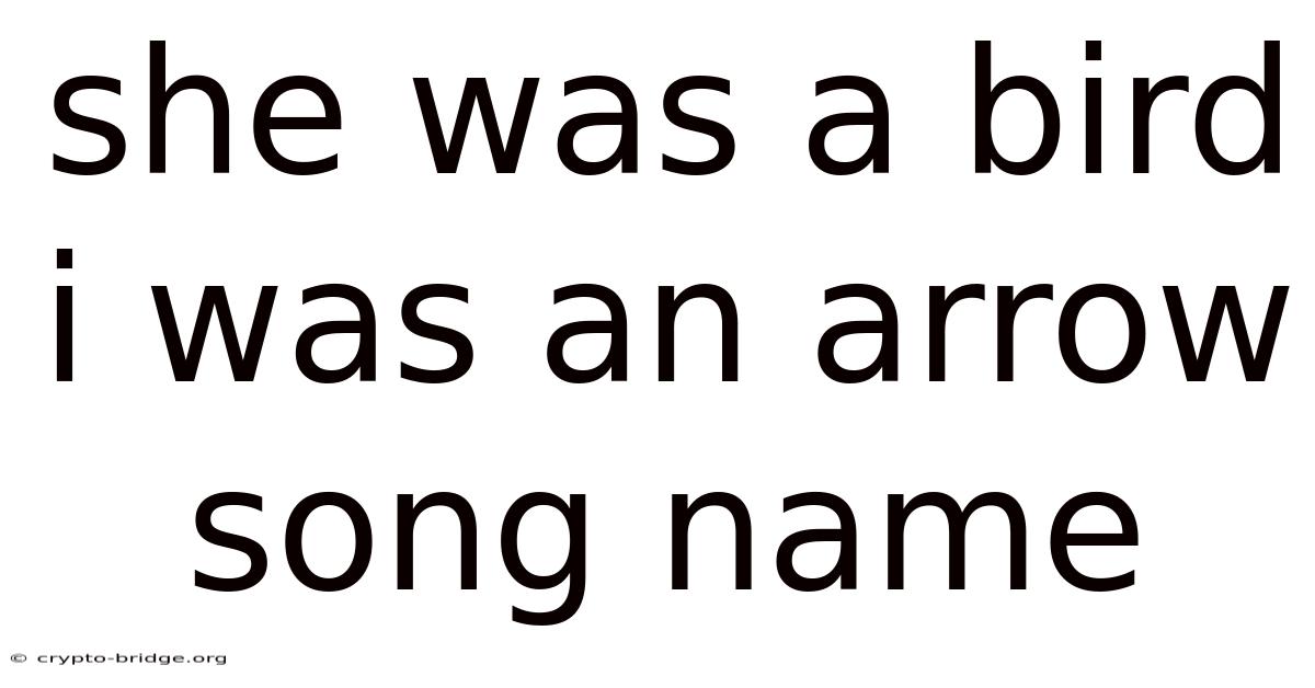She Was A Bird I Was An Arrow Song Name