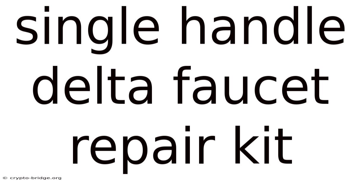 Single Handle Delta Faucet Repair Kit
