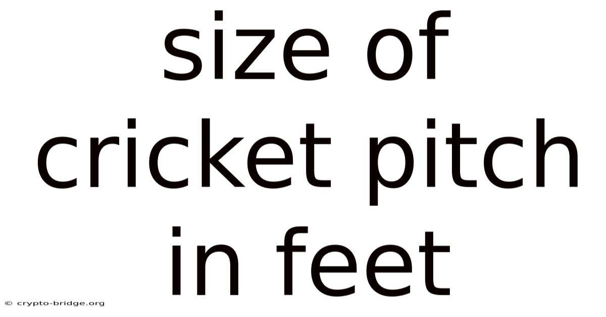 Size Of Cricket Pitch In Feet