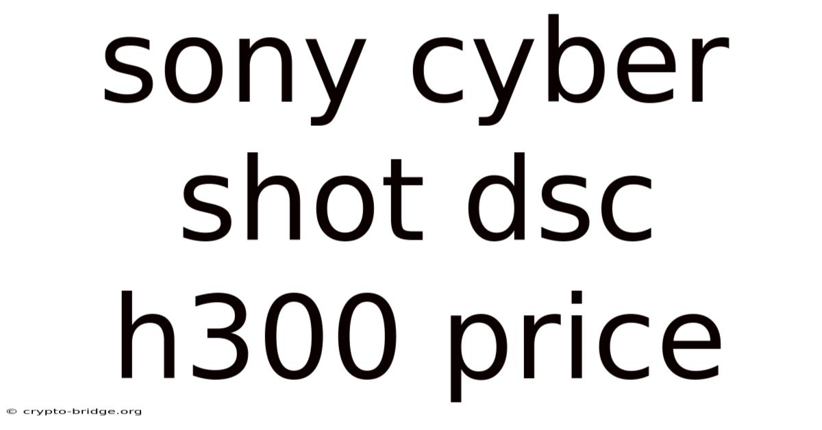 Sony Cyber Shot Dsc H300 Price