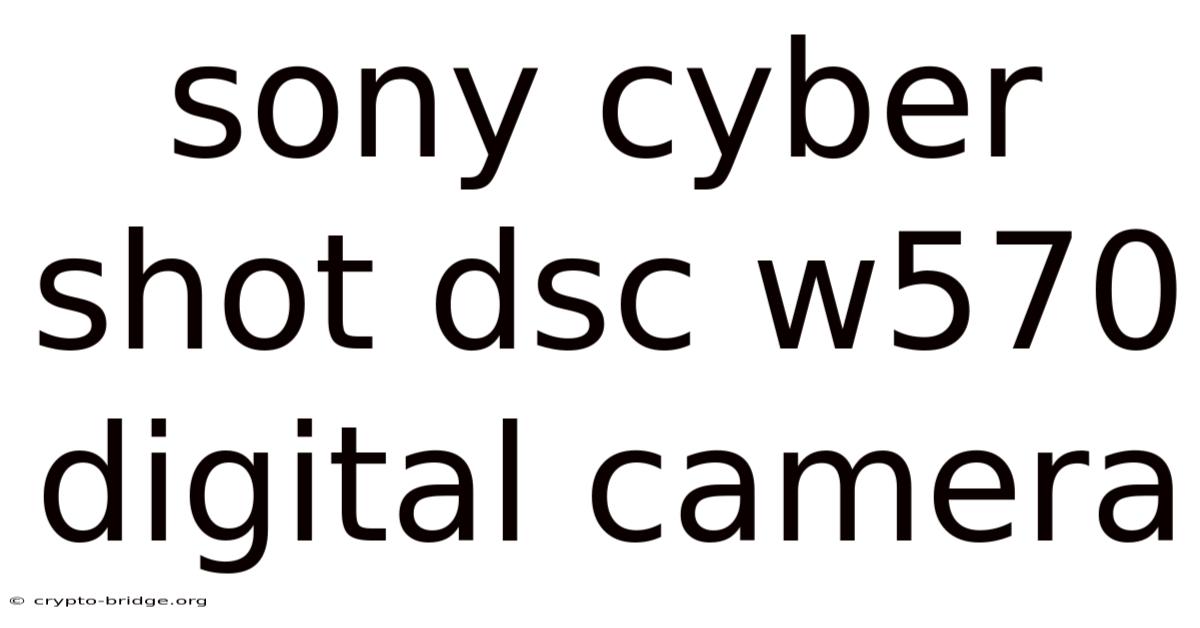 Sony Cyber Shot Dsc W570 Digital Camera