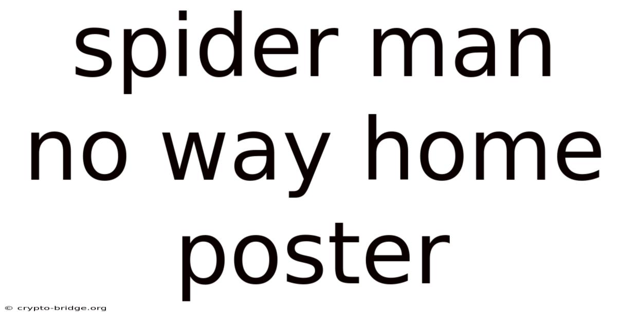 Spider Man No Way Home Poster
