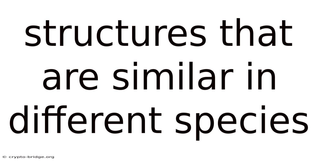Structures That Are Similar In Different Species