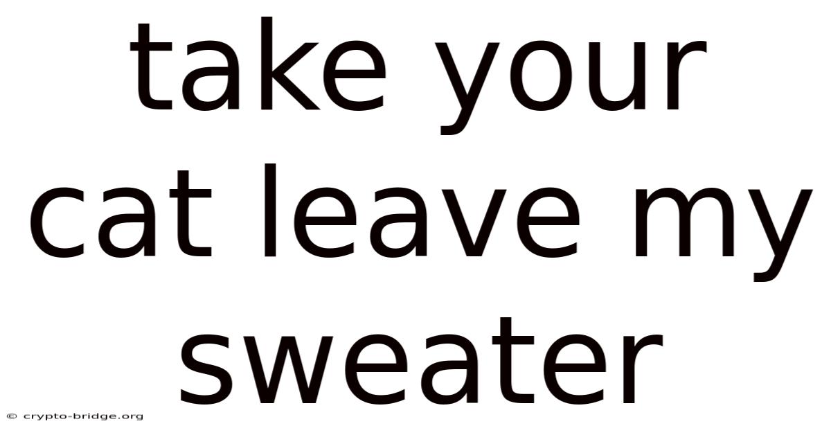 Take Your Cat Leave My Sweater