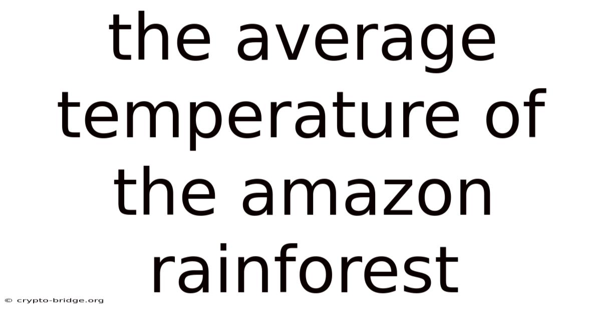 The Average Temperature Of The Amazon Rainforest