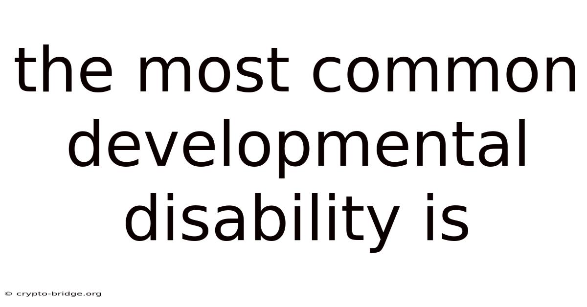 The Most Common Developmental Disability Is