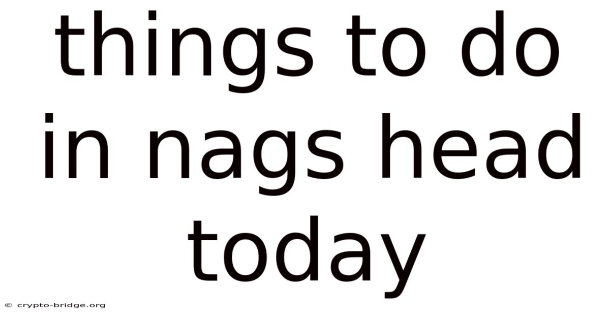 Things To Do In Nags Head Today