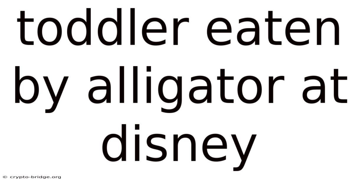 Toddler Eaten By Alligator At Disney
