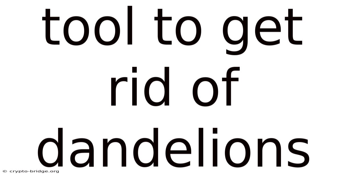 Tool To Get Rid Of Dandelions
