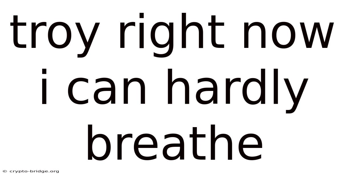Troy Right Now I Can Hardly Breathe