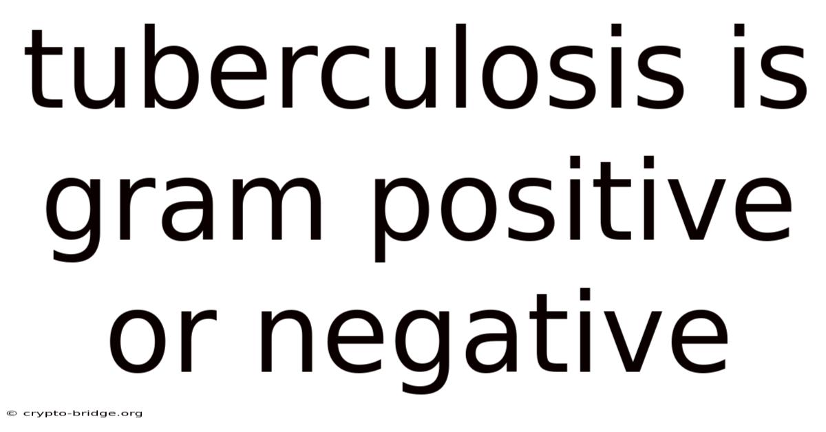 Tuberculosis Is Gram Positive Or Negative