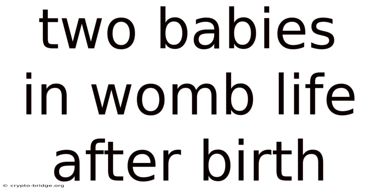 Two Babies In Womb Life After Birth