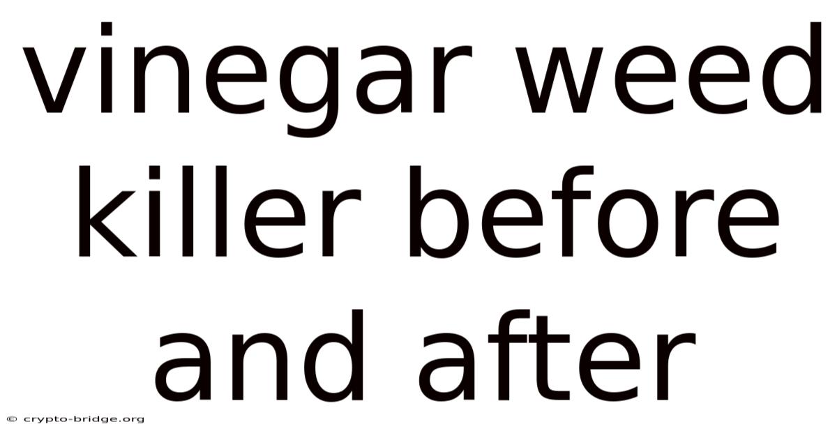 Vinegar Weed Killer Before And After