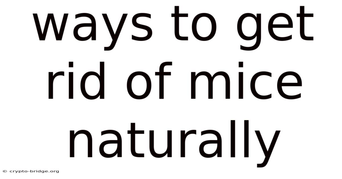Ways To Get Rid Of Mice Naturally
