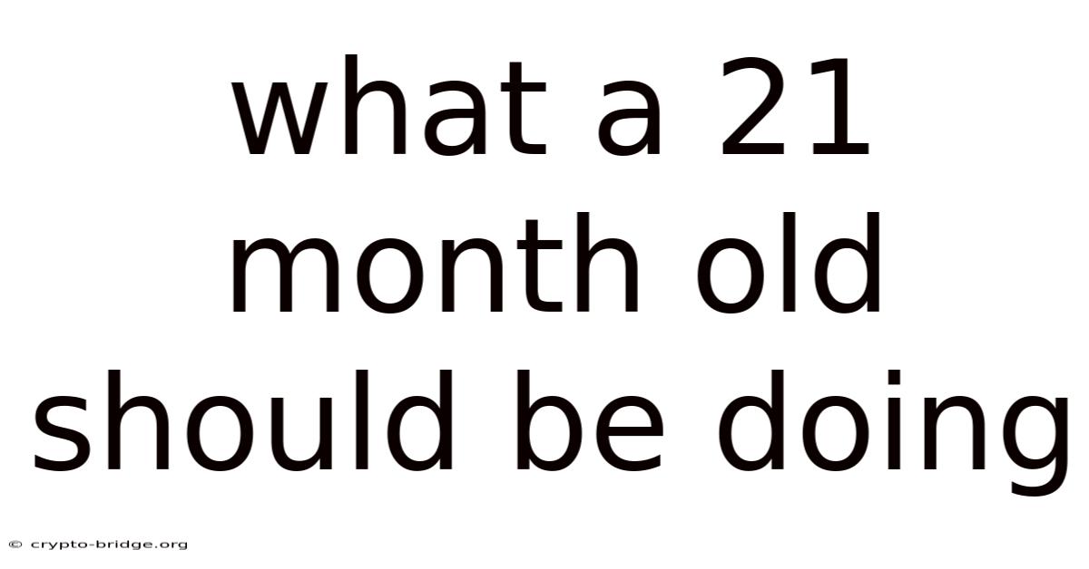 What A 21 Month Old Should Be Doing