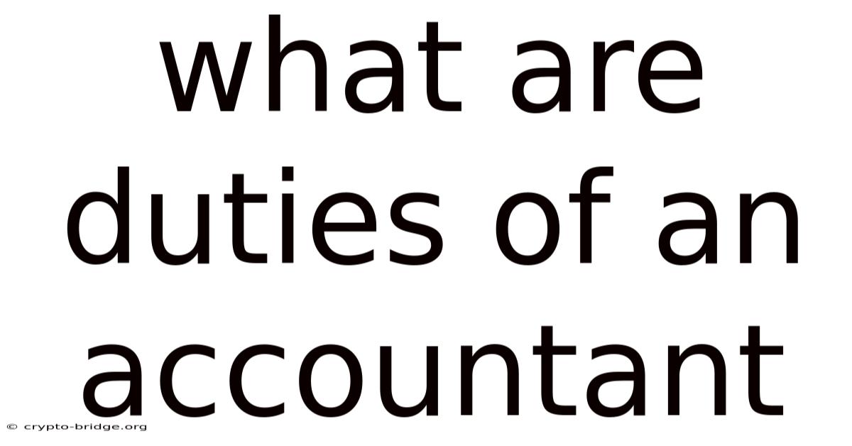 What Are Duties Of An Accountant