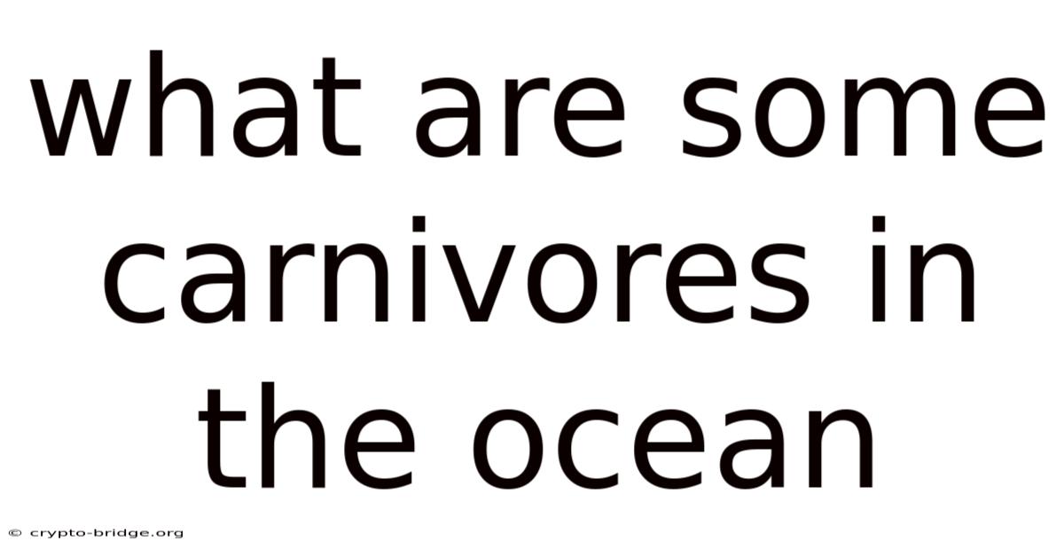 What Are Some Carnivores In The Ocean