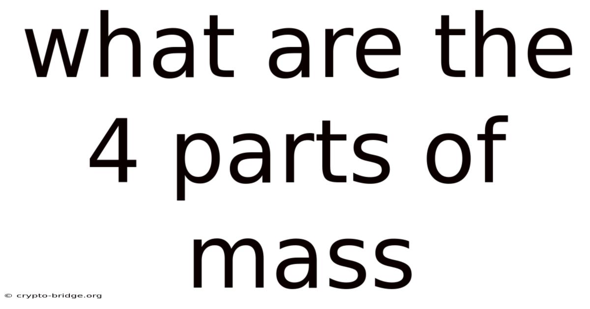 What Are The 4 Parts Of Mass