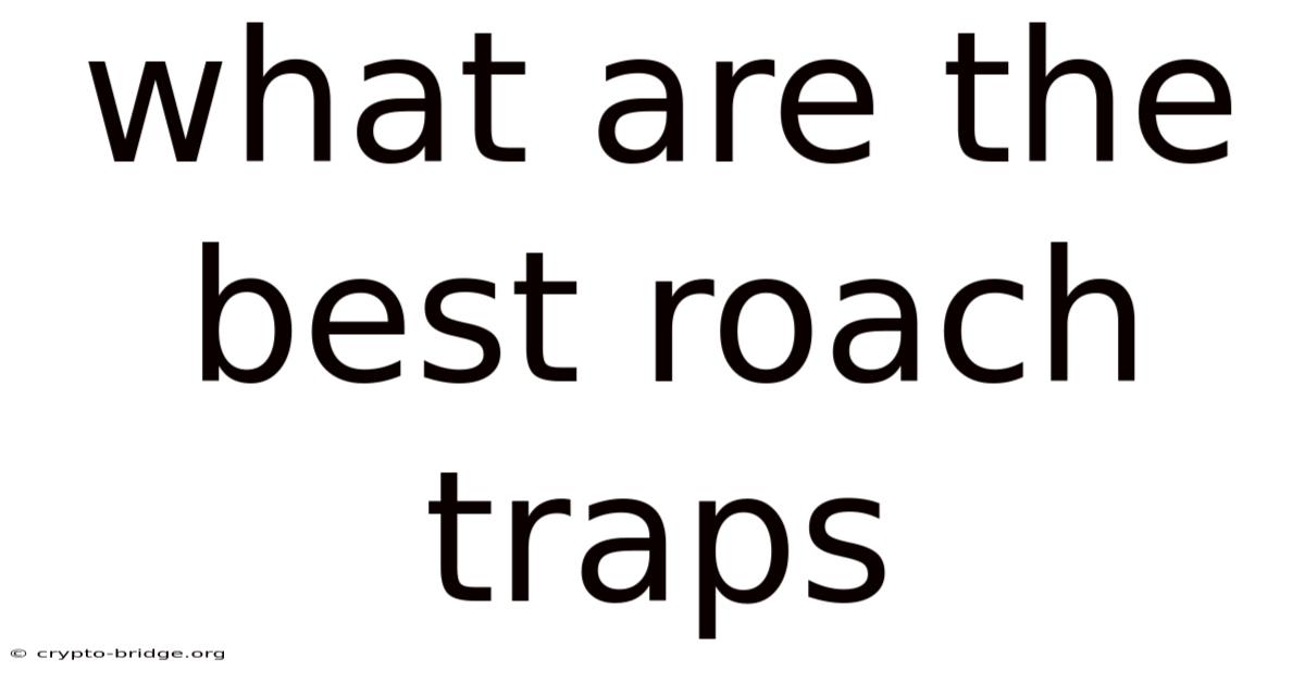 What Are The Best Roach Traps