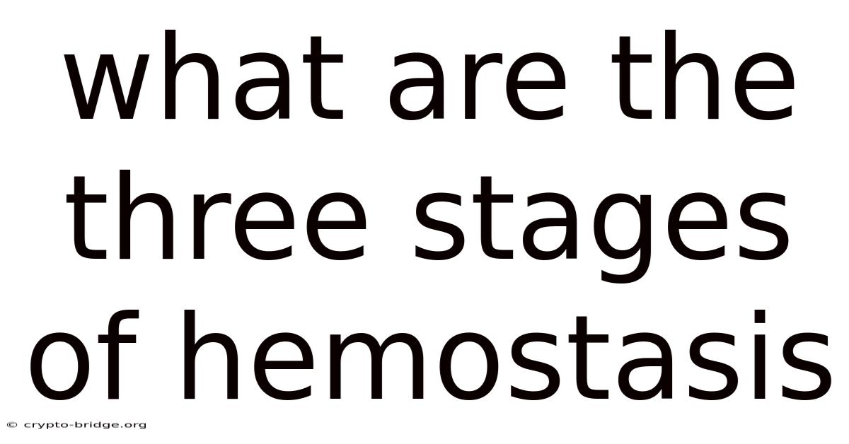 What Are The Three Stages Of Hemostasis