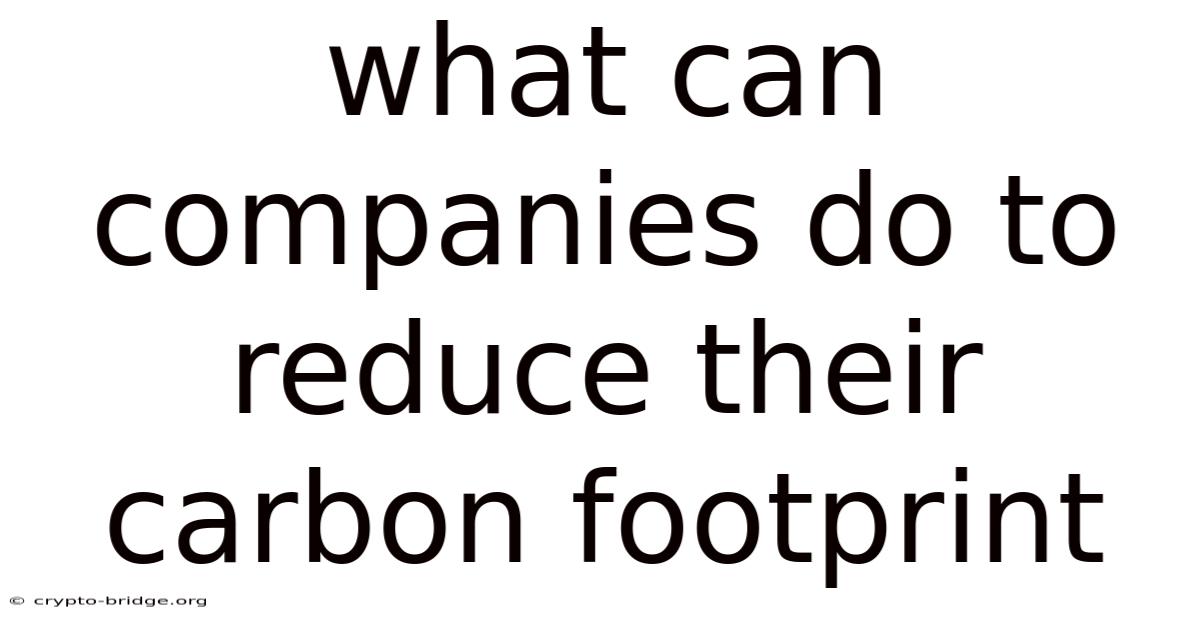 What Can Companies Do To Reduce Their Carbon Footprint