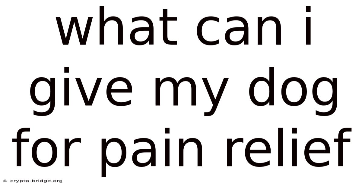 What Can I Give My Dog For Pain Relief